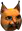 Hiúz