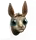 Láma