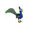 Páva