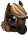 Poni