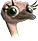Strucc