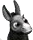 Szamár