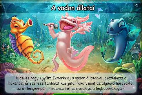 A vadon állatai 11.