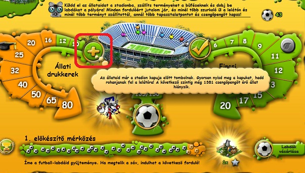Foci VB 2011
