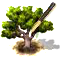 Ébenfa