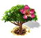 Gyapotfa