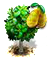 Jákafa