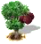 Japán viaszbogyó