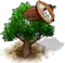Kakaófa