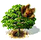 Mahagónifa