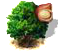 Makadámiafa