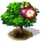 Mangosztánfa