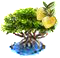 Mangrovefa