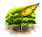 Orgonafa