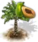 Papajafa