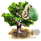 Papaufa