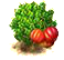 Suriname-i cseresznyefa