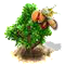 Szerecsendiófa