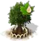 Cukorjuhar XL