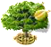 Duriánfa XXL