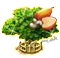 Kesufa XXL