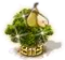 Körtefa XXL