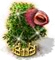 Licsifa XXL