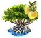Mangrovefa XL