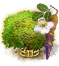 Moringa XXL