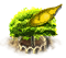 Orgonafa XL