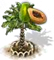 Papajafa XL
