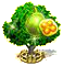 Pequifa XXL