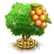 Pitomba fa XXL