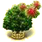 Rambutánfa XXL