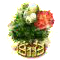 Szamócafa XXL