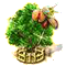 Szerecsendiófa XXL