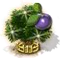 Szilvafa XXL