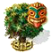 Tiki-fa XXL